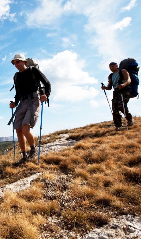 auvergne acheter un camping