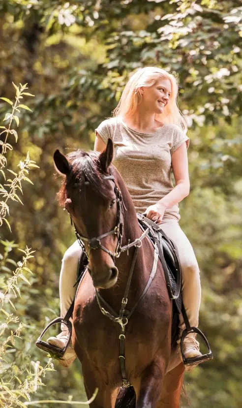 bourgogne acheter un camping