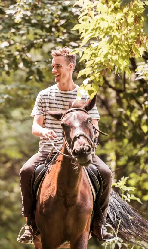 bourgogne vendre un camping