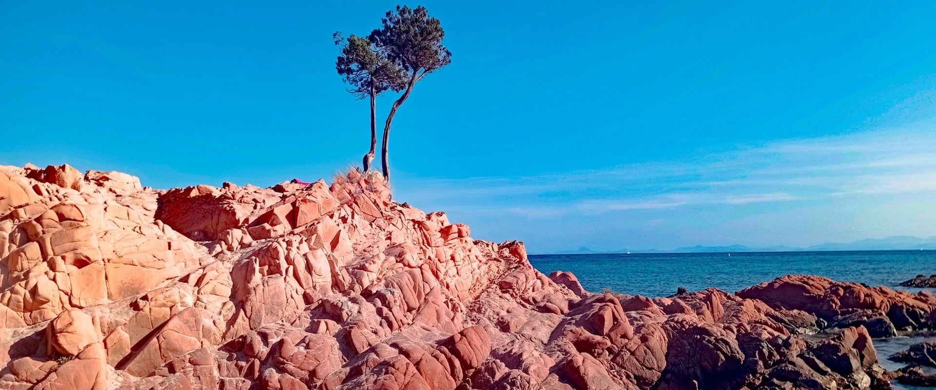 vente achat de camping