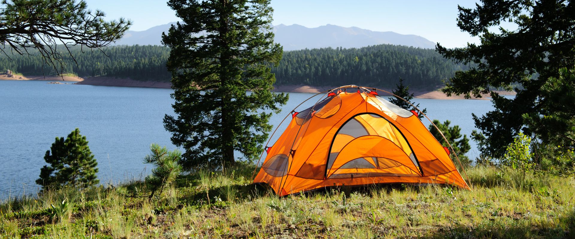 camping actualités concerto